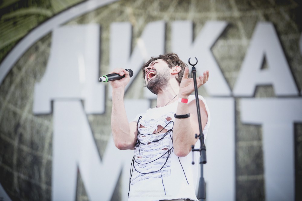 WILD MINT FEST@ Этномир, Калужская обл., 13/14/15-06-2014  