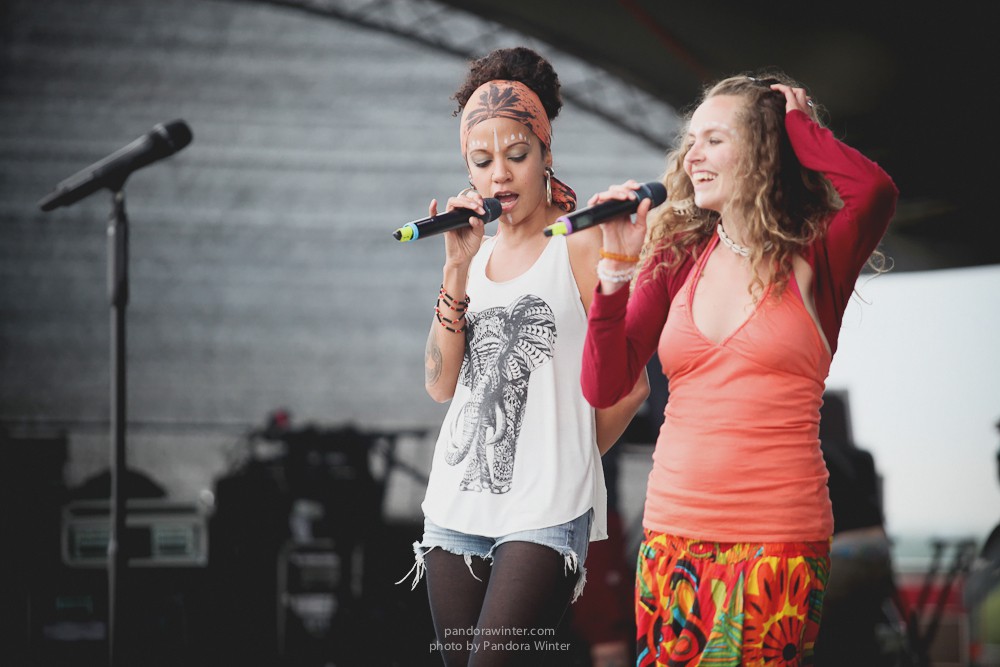 WILD MINT FEST@ Этномир, Калужская обл., 13/14/15-06-2014  