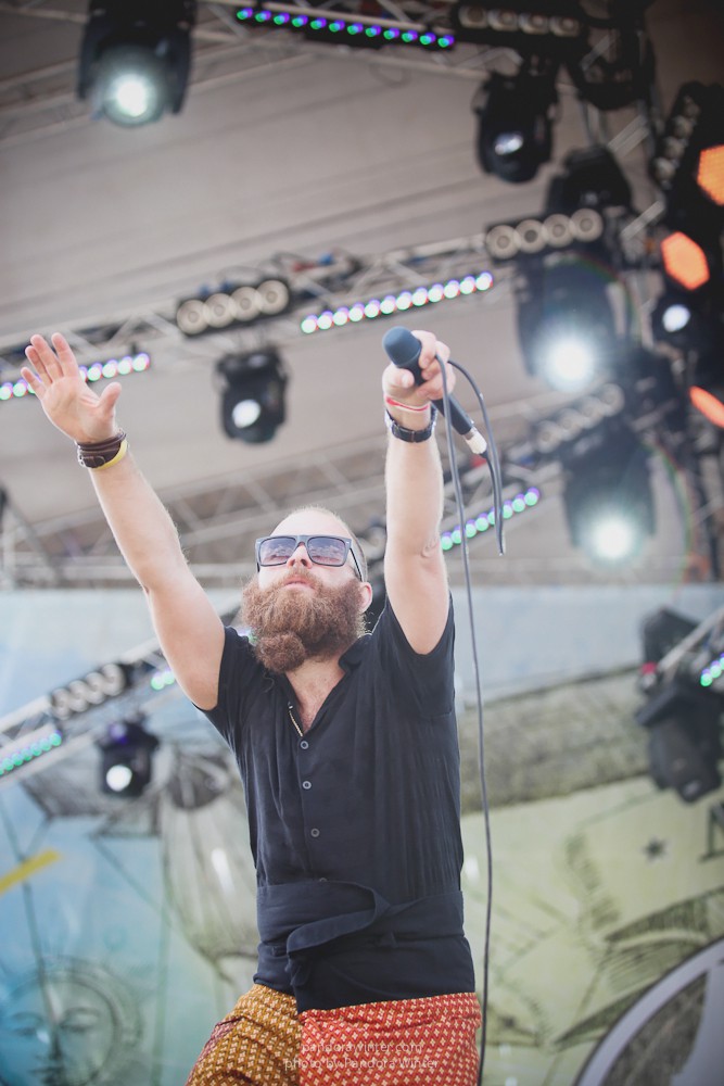 WILD MINT FEST@ Этномир, Калужская обл., 13/14/15-06-2014  