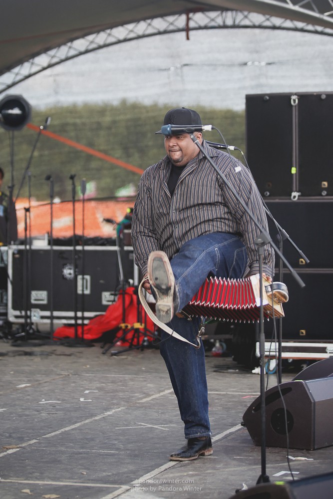 WILD MINT FEST@ Этномир, Калужская обл., 13/14/15-06-2014  
