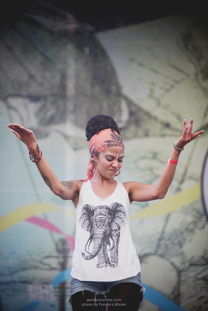 WILD MINT FEST@ Этномир, Калужская обл., 13/14/15-06-2014  