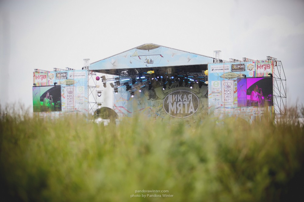 WILD MINT FEST@ Этномир, Калужская обл., 13/14/15-06-2014  