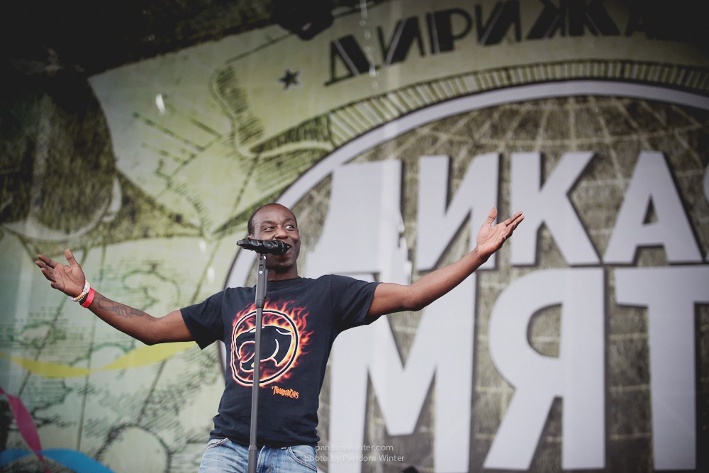 WILD MINT FEST@ Этномир, Калужская обл., 13/14/15-06-2014  