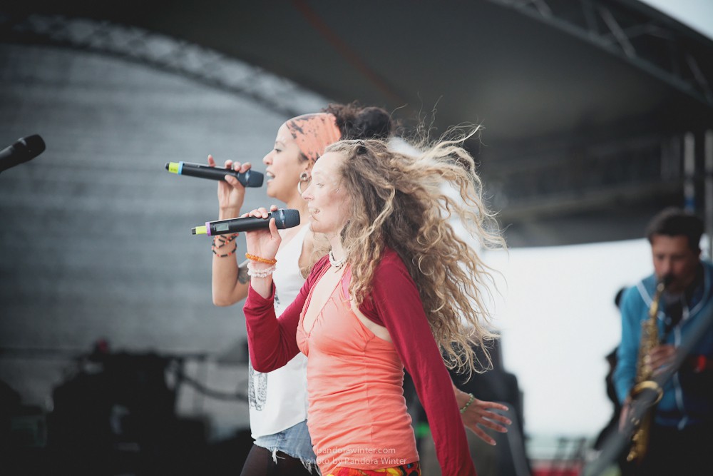 WILD MINT FEST@ Этномир, Калужская обл., 13/14/15-06-2014  