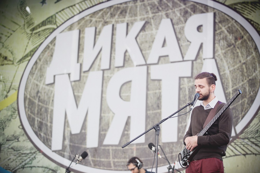 WILD MINT FEST@ Этномир, Калужская обл., 13/14/15-06-2014  