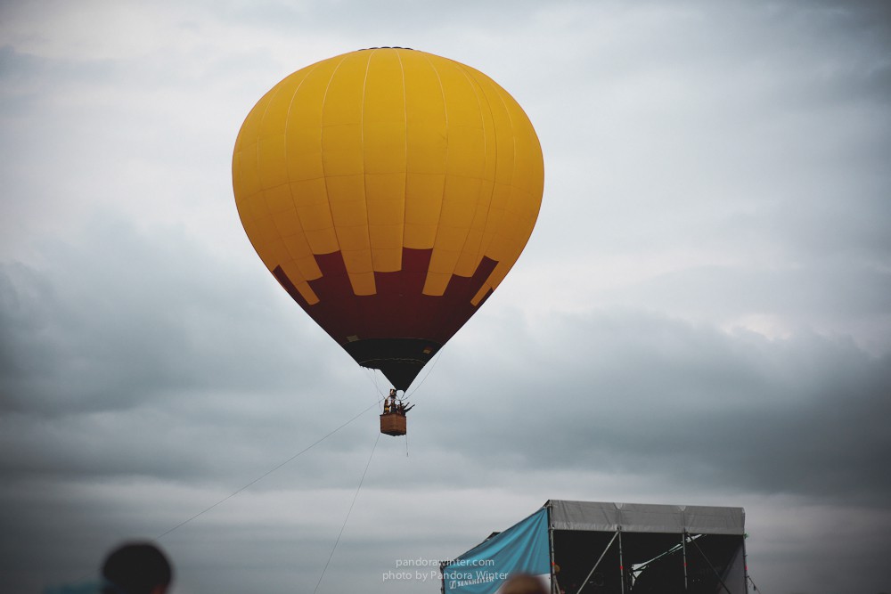 WILD MINT FEST@ Этномир, Калужская обл., 13/14/15-06-2014  