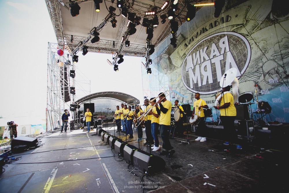 WILD MINT FEST@ Этномир, Калужская обл., 13/14/15-06-2014  