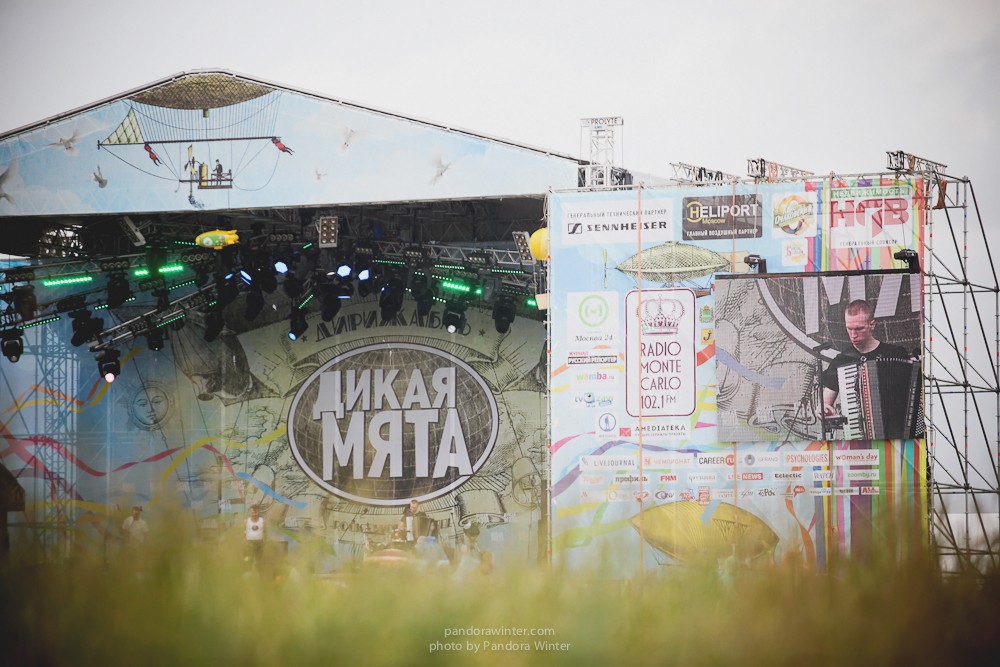 WILD MINT FEST@ Этномир, Калужская обл., 13/14/15-06-2014  