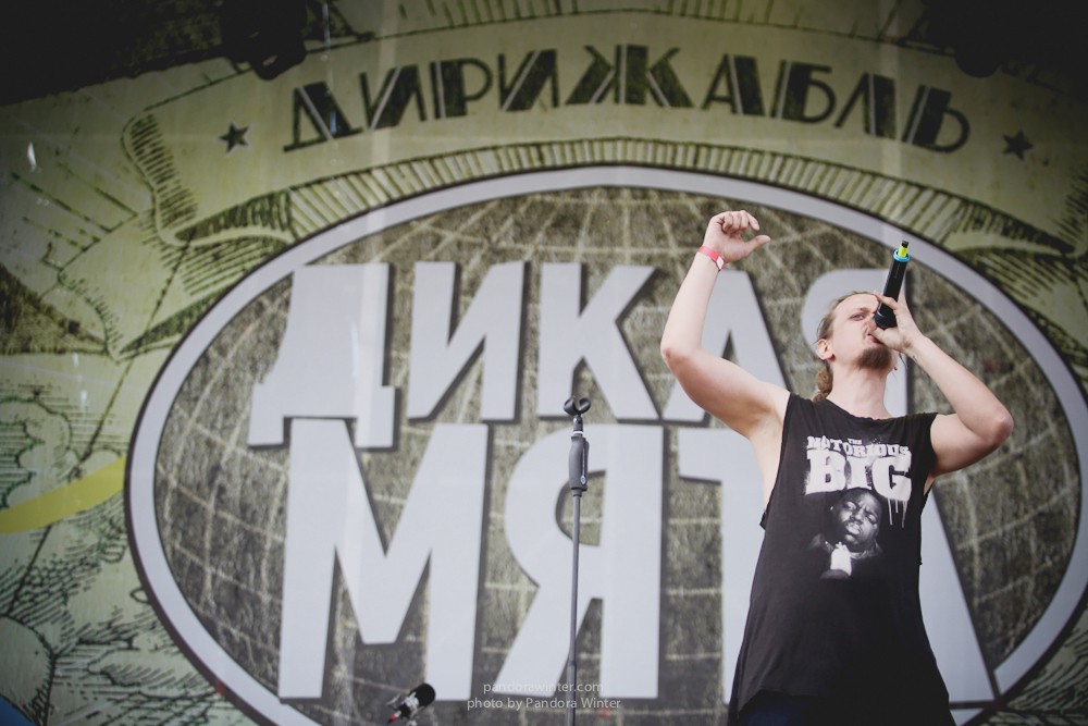 WILD MINT FEST@ Этномир, Калужская обл., 13/14/15-06-2014  