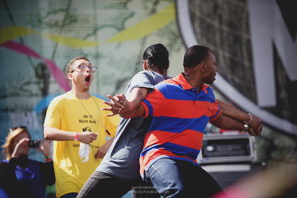 WILD MINT FEST@ Этномир, Калужская обл., 13/14/15-06-2014  