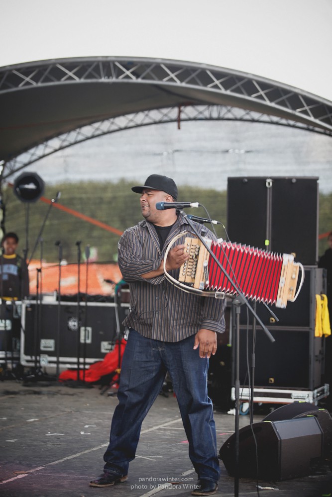 WILD MINT FEST@ Этномир, Калужская обл., 13/14/15-06-2014  