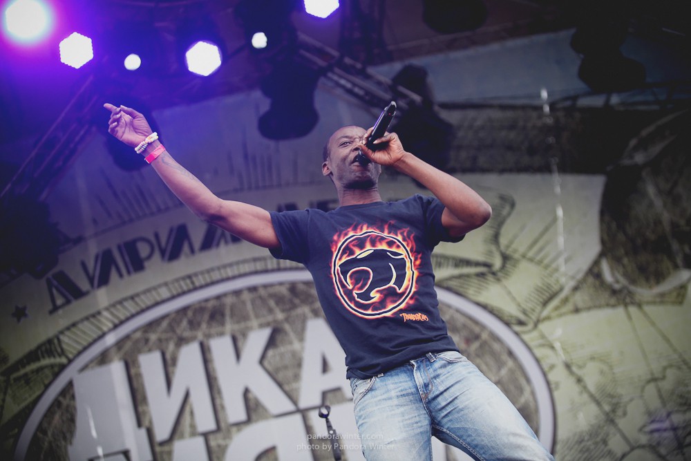 WILD MINT FEST@ Этномир, Калужская обл., 13/14/15-06-2014  