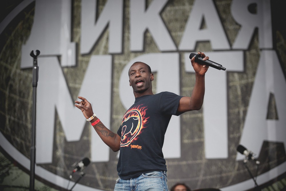 WILD MINT FEST@ Этномир, Калужская обл., 13/14/15-06-2014  