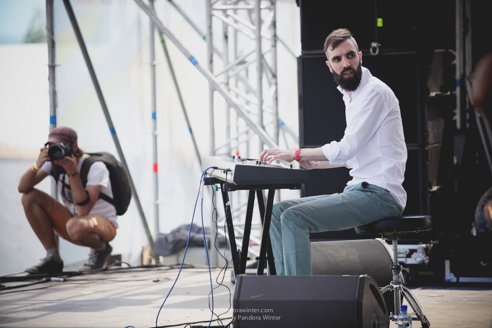 WILD MINT FEST@ Этномир, Калужская обл., 13/14/15-06-2014  