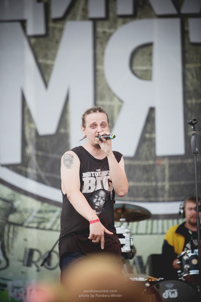 WILD MINT FEST@ Этномир, Калужская обл., 13/14/15-06-2014  