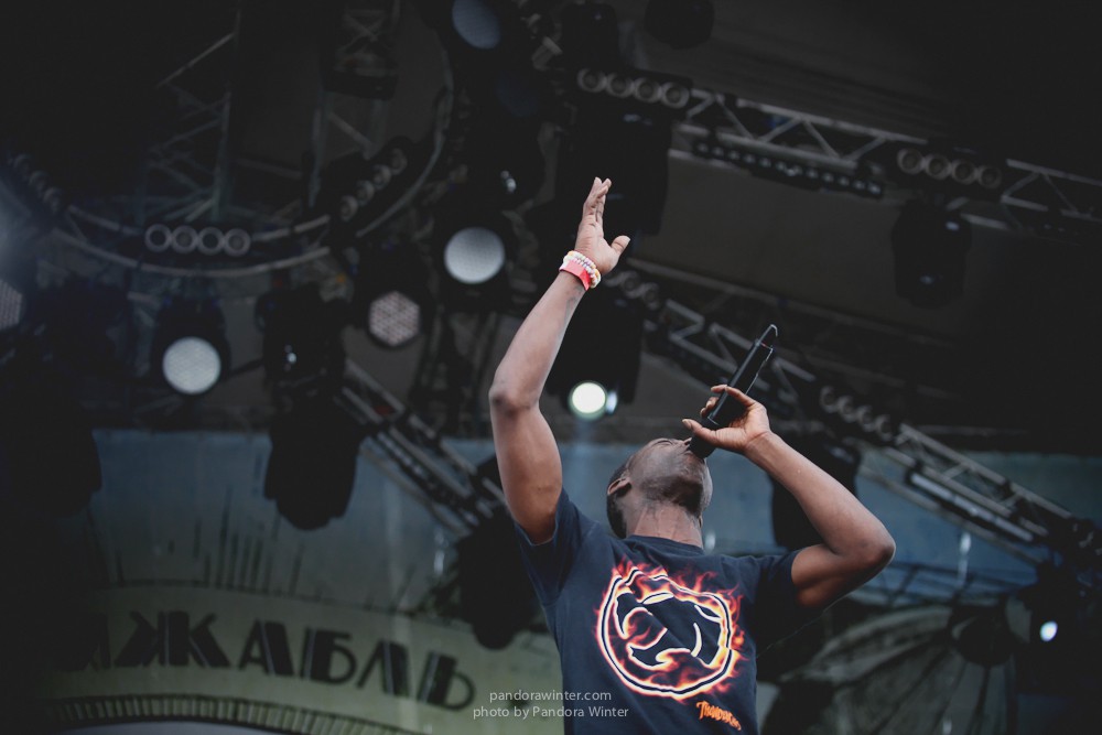 WILD MINT FEST@ Этномир, Калужская обл., 13/14/15-06-2014  
