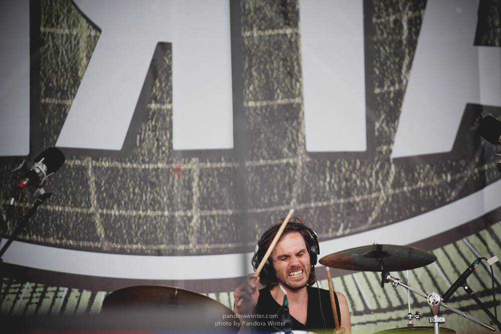 WILD MINT FEST@ Этномир, Калужская обл., 13/14/15-06-2014  