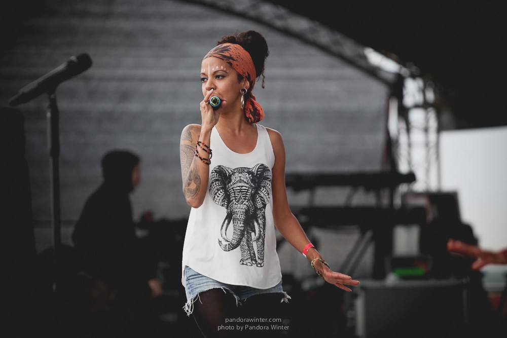 WILD MINT FEST@ Этномир, Калужская обл., 13/14/15-06-2014  