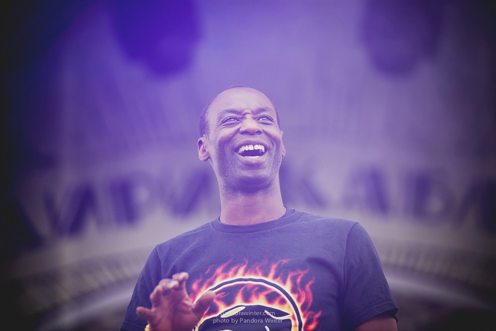 WILD MINT FEST@ Этномир, Калужская обл., 13/14/15-06-2014  