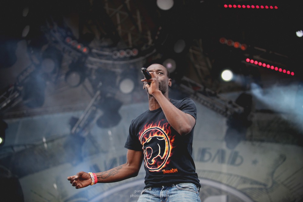 WILD MINT FEST@ Этномир, Калужская обл., 13/14/15-06-2014  