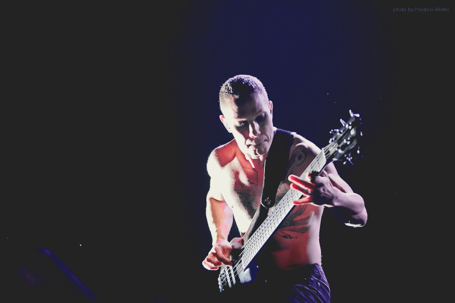 KOЯN @ STEREO PLAZA, Kiev, 29-08-2012  