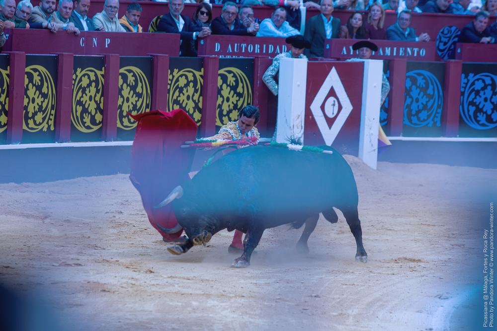 Corrida Picassiana @ Málaga, 19-04-2025