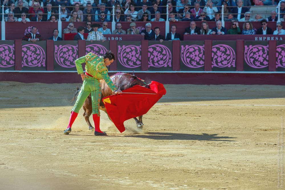 Corrida Picassiana @ Málaga, 19-04-2025