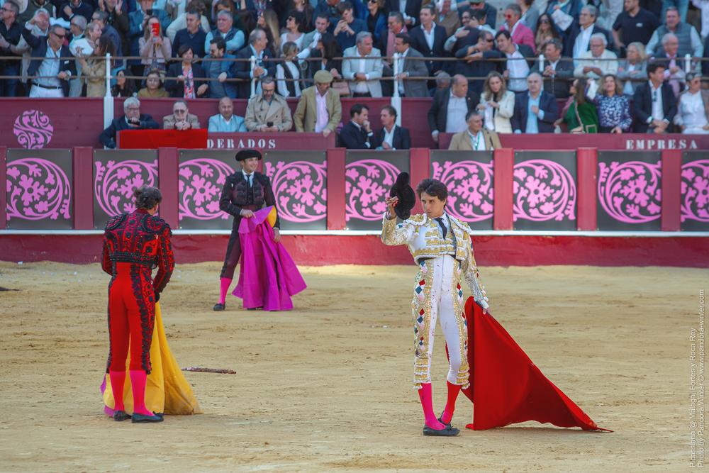 Corrida Picassiana @ Málaga, 19-04-2025