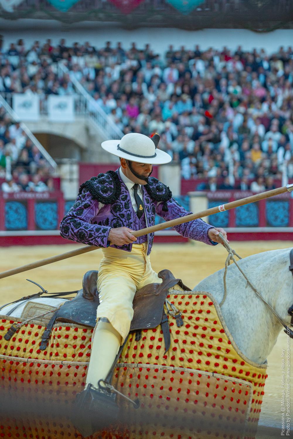 Corrida Picassiana @ Málaga, 19-04-2025