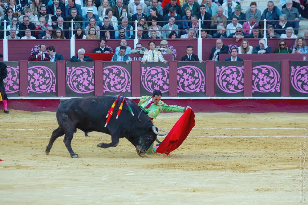 Corrida Picassiana @ Málaga, 19-04-2025