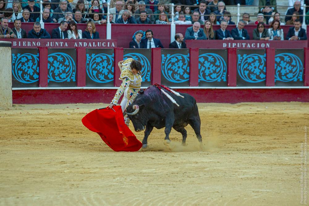Corrida Picassiana @ Málaga, 19-04-2025