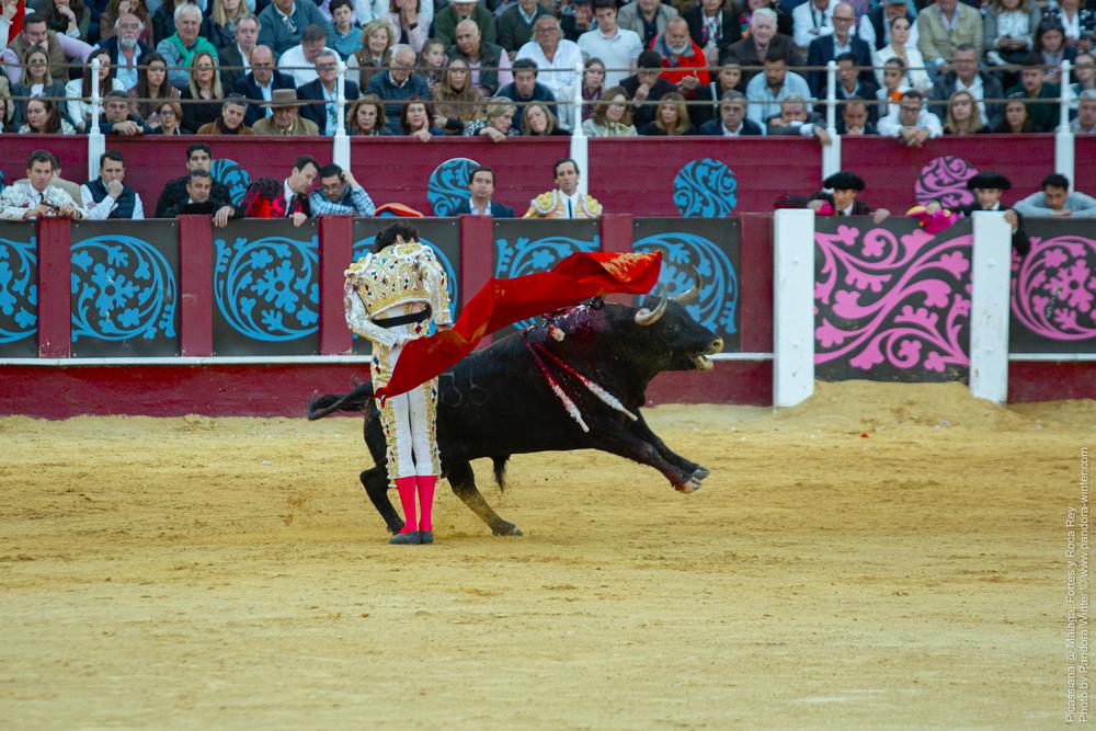 Corrida Picassiana @ Málaga, 19-04-2025