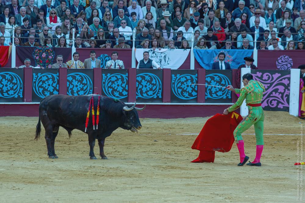 Corrida Picassiana @ Málaga, 19-04-2025