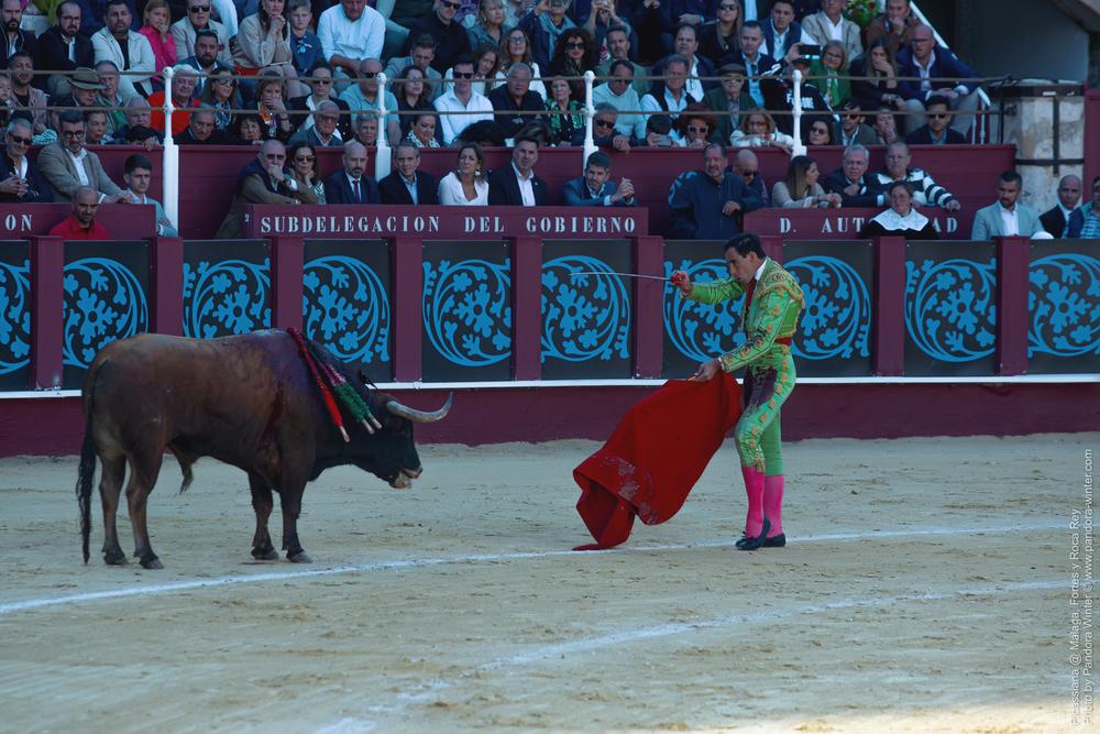 Corrida Picassiana @ Málaga, 19-04-2025
