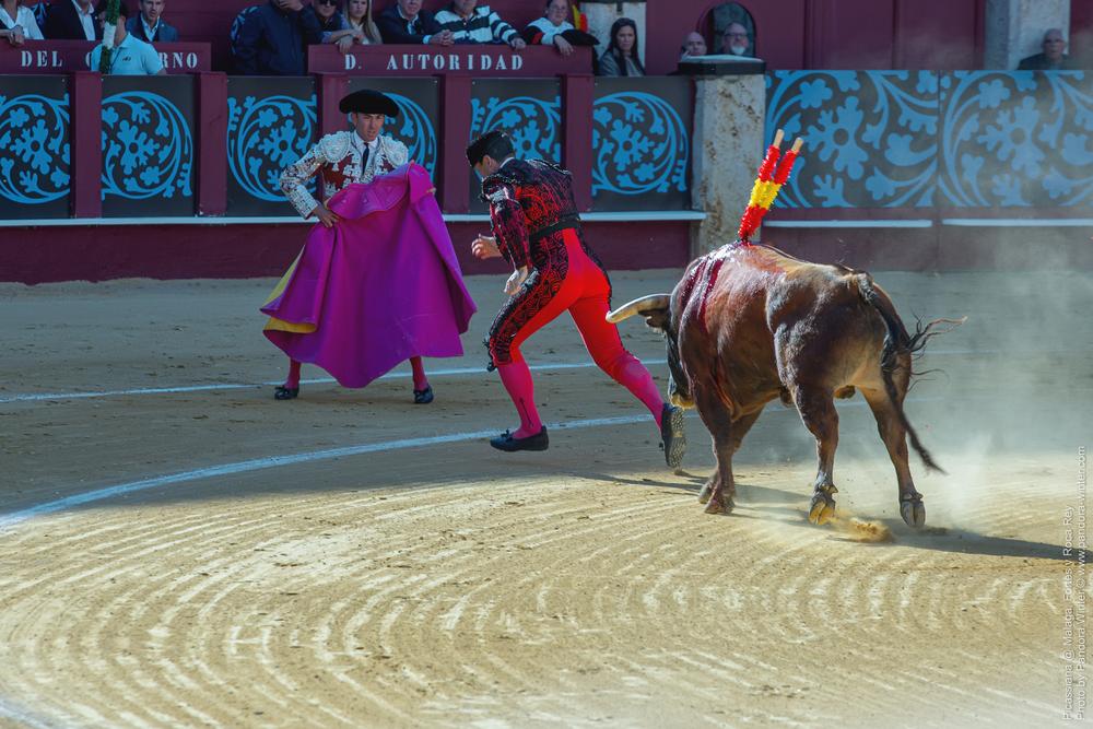 Corrida Picassiana @ Málaga, 19-04-2025