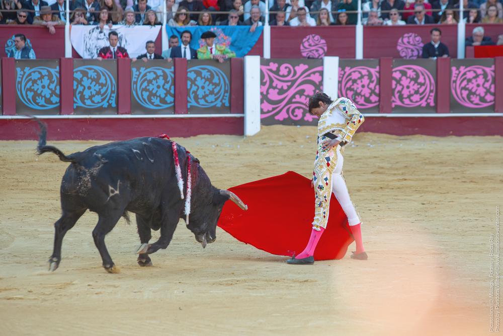 Corrida Picassiana @ Málaga, 19-04-2025