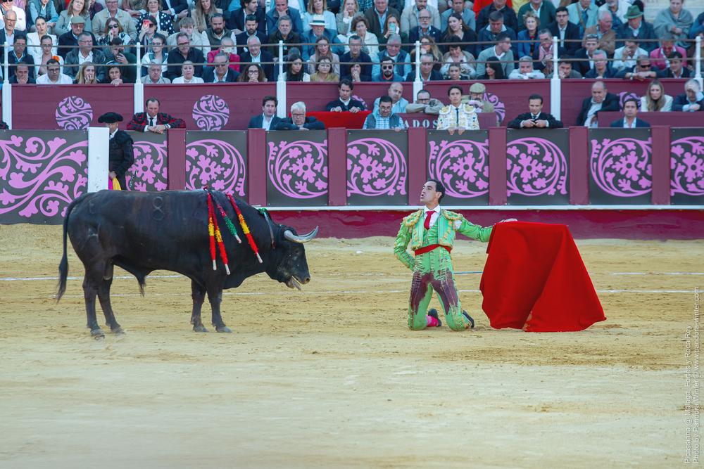 Corrida Picassiana @ Málaga, 19-04-2025