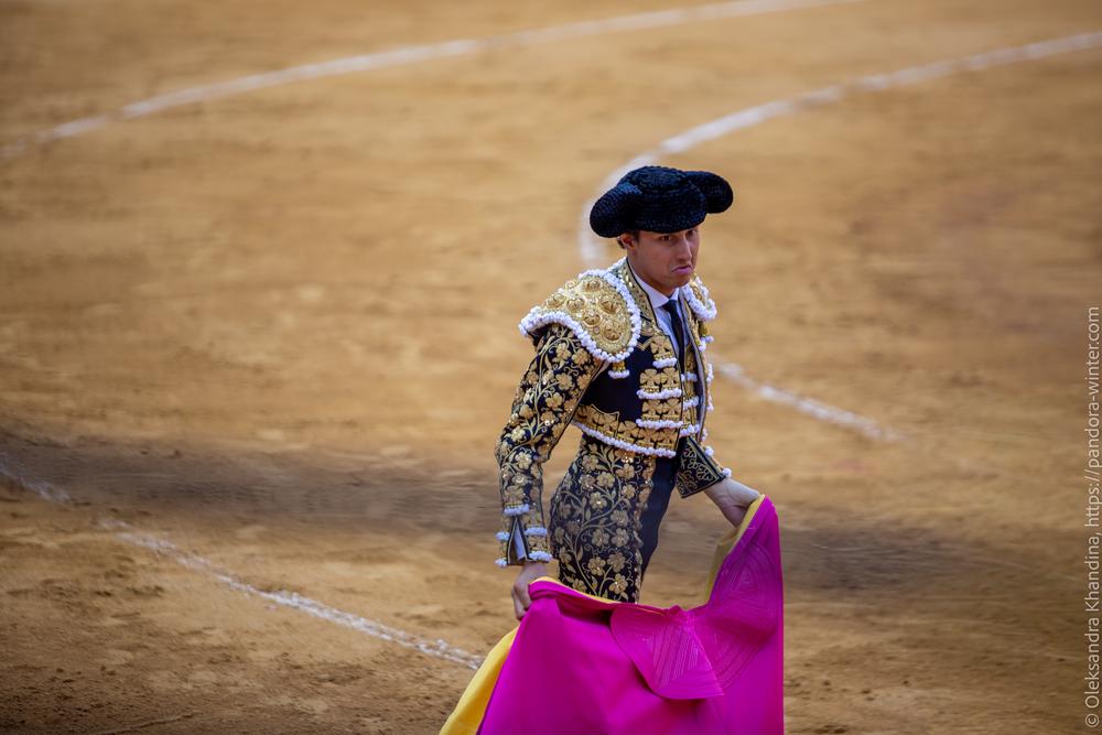 Taurina @ La plaza de La Malagueta, 2025-08-19 
