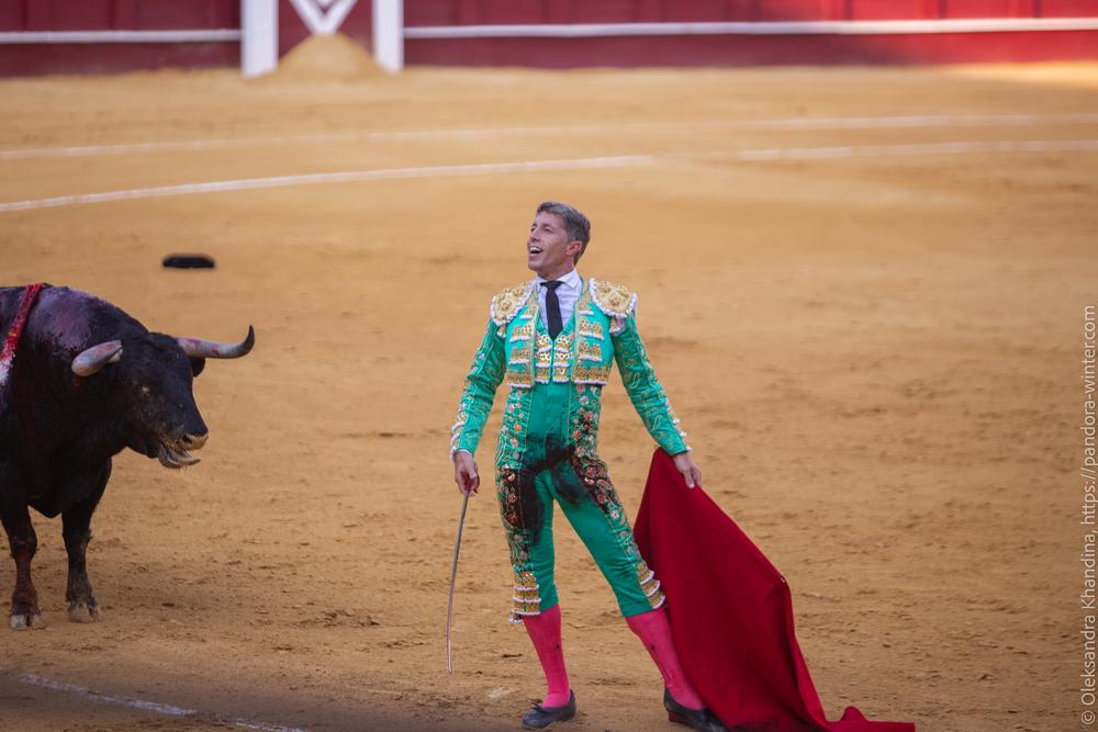 Taurina @ La plaza de La Malagueta, 2025-08-19 