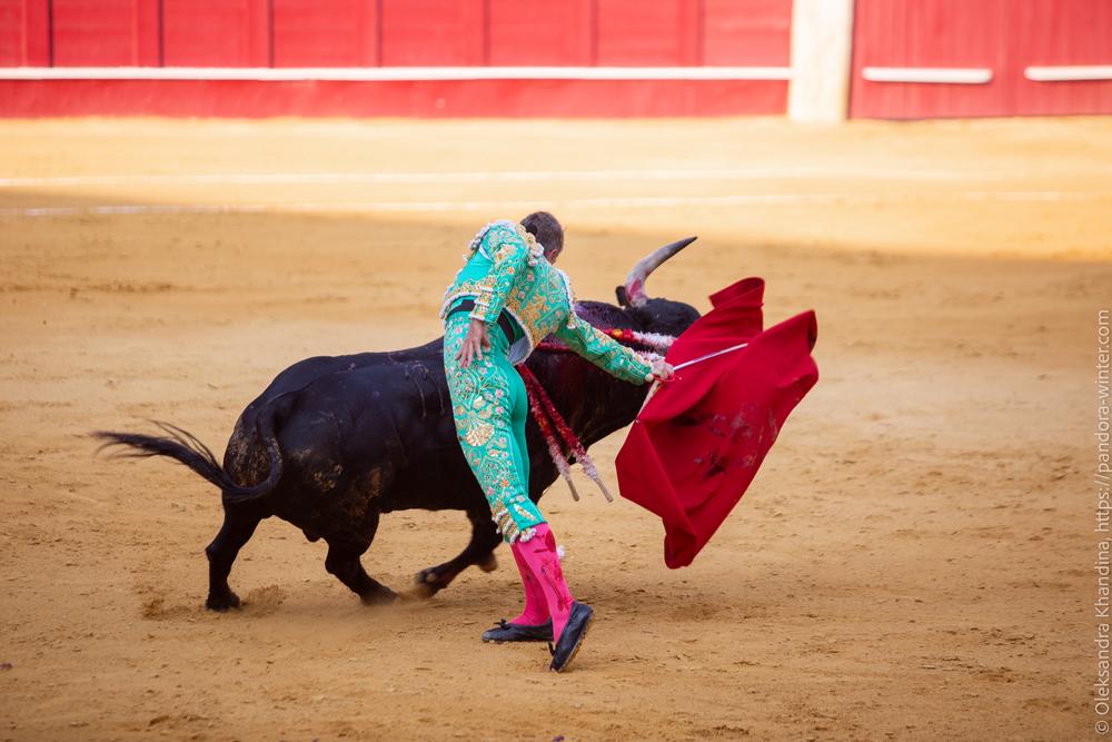 Taurina @ La plaza de La Malagueta, 2025-08-19 