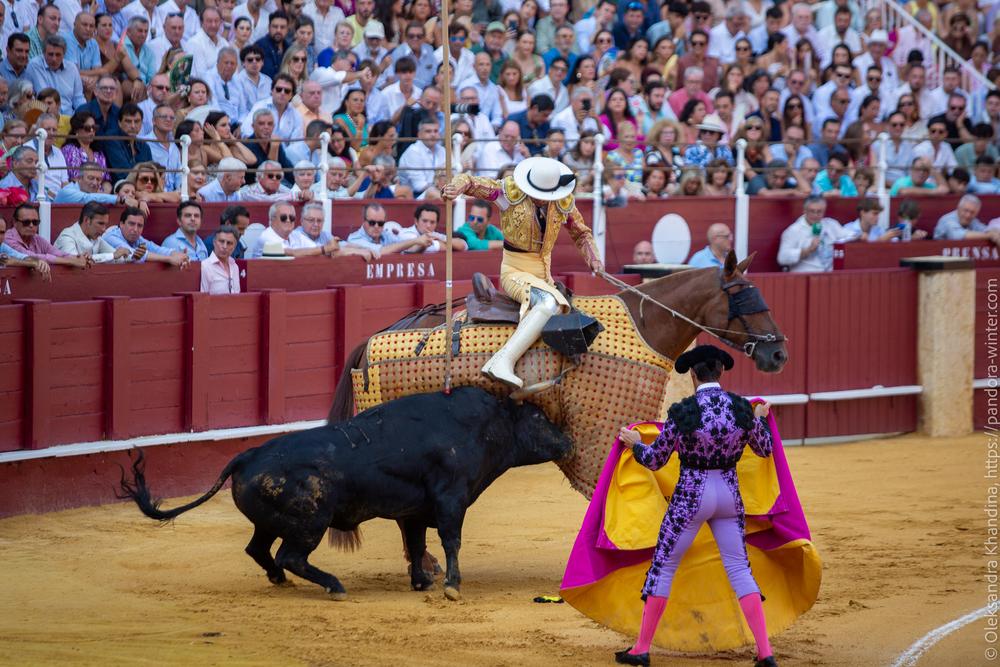 Taurina @ La plaza de La Malagueta, 2025-08-19 