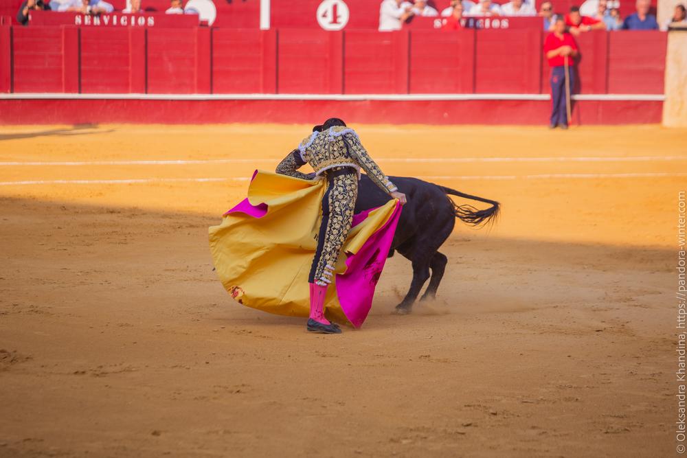 Taurina @ La plaza de La Malagueta, 2025-08-19 