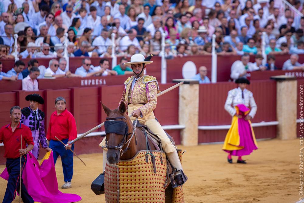 Taurina @ La plaza de La Malagueta, 2025-08-19 