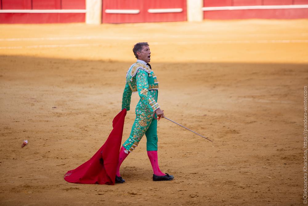 Taurina @ La plaza de La Malagueta, 2025-08-19 