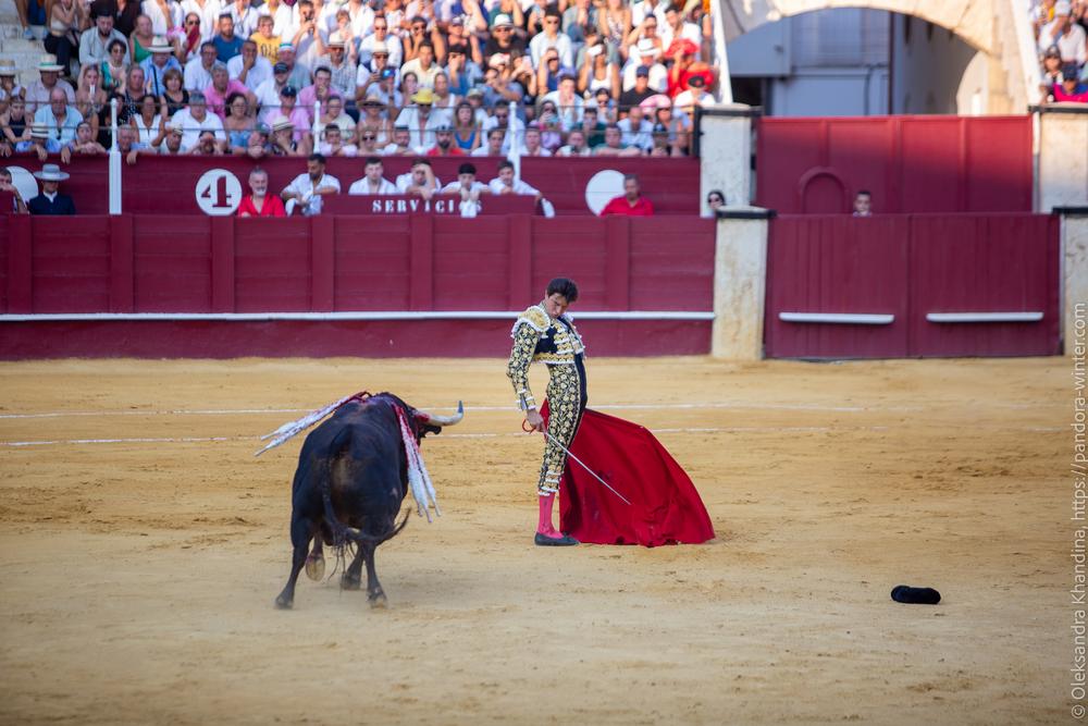 Taurina @ La plaza de La Malagueta, 2025-08-19 