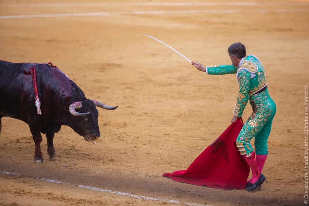 Taurina @ La plaza de La Malagueta, 2025-08-19 