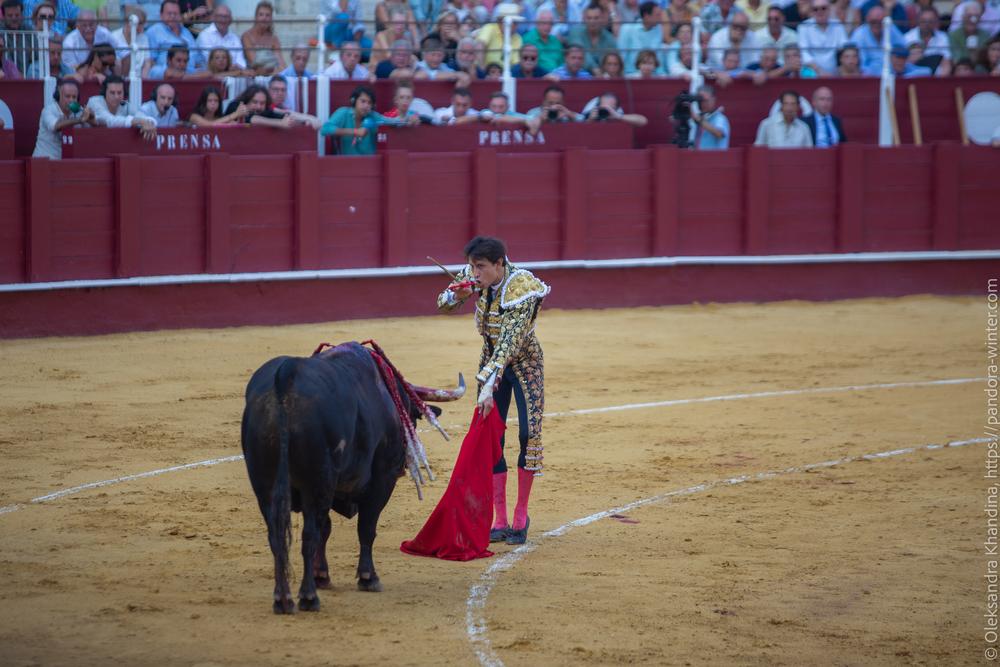 Taurina @ La plaza de La Malagueta, 2025-08-19 