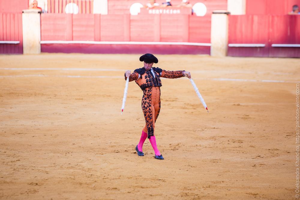 Taurina @ La plaza de La Malagueta, 2025-08-19 