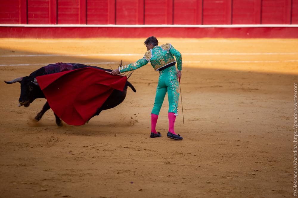Taurina @ La plaza de La Malagueta, 2025-08-19 