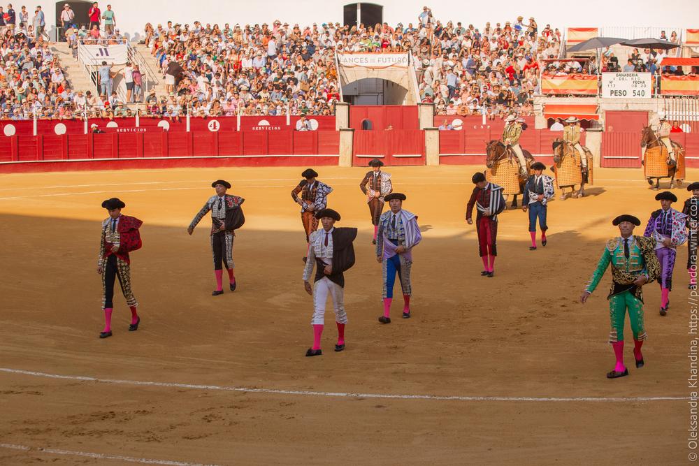 Taurina @ La plaza de La Malagueta, 2025-08-19 